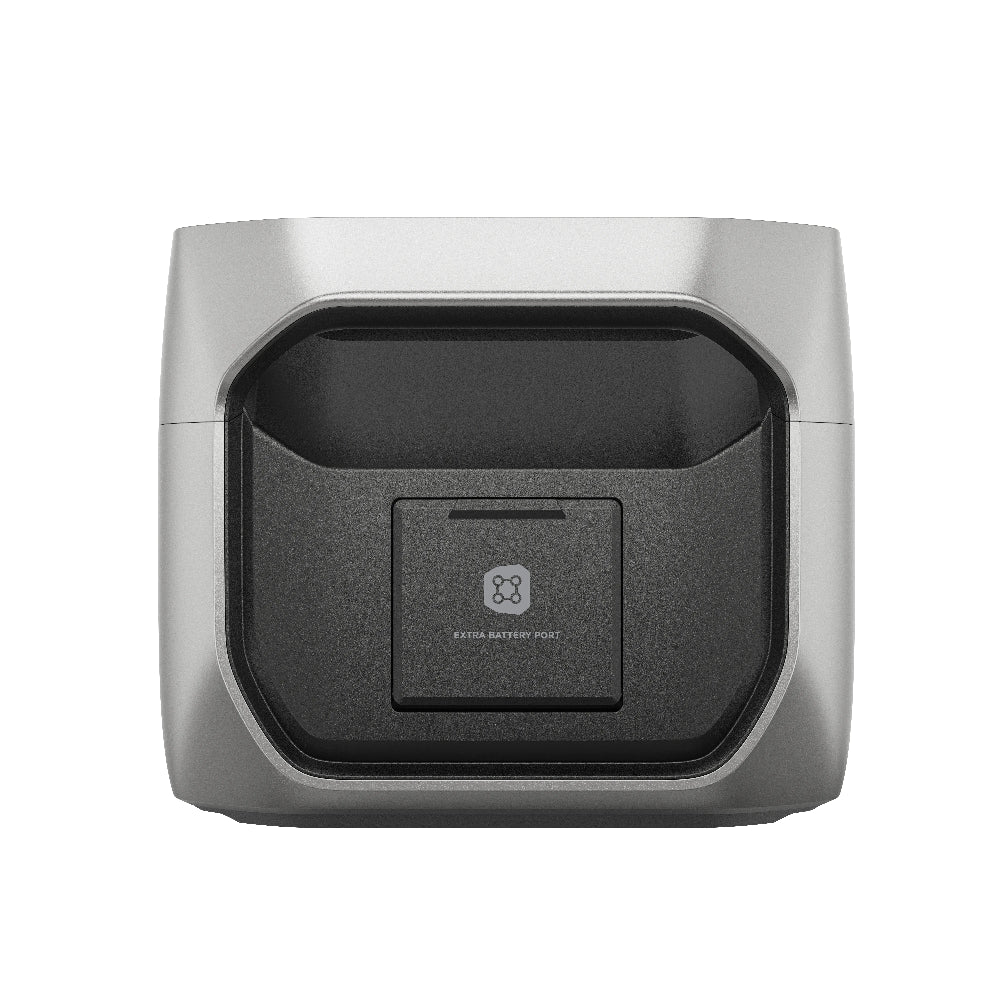 Ecoflow delta 3 max plus extra batterij